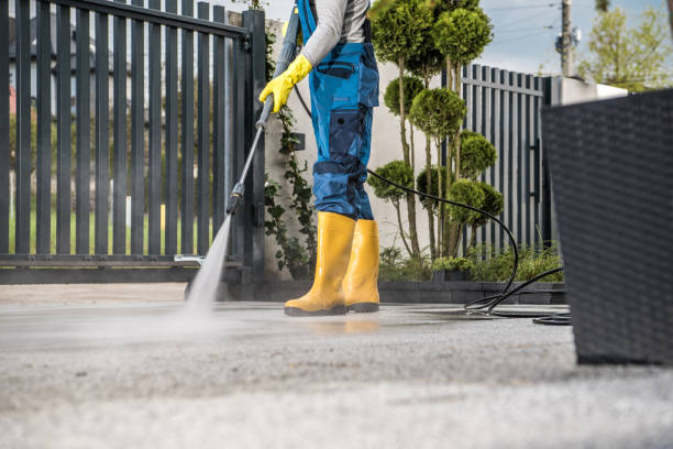 Animal Enclosure Cleaning in Clinton, IL